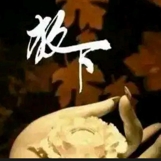 🌻漫步人生👣
