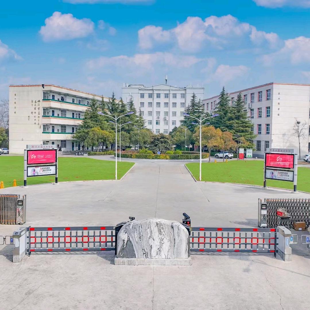 郑州树青招办谢老师