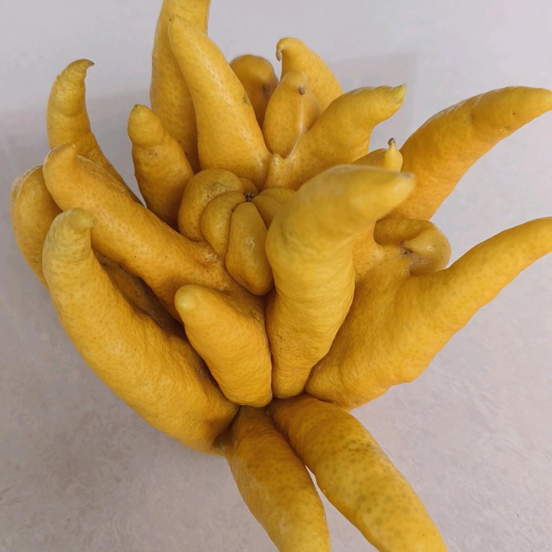 王哥好物分享