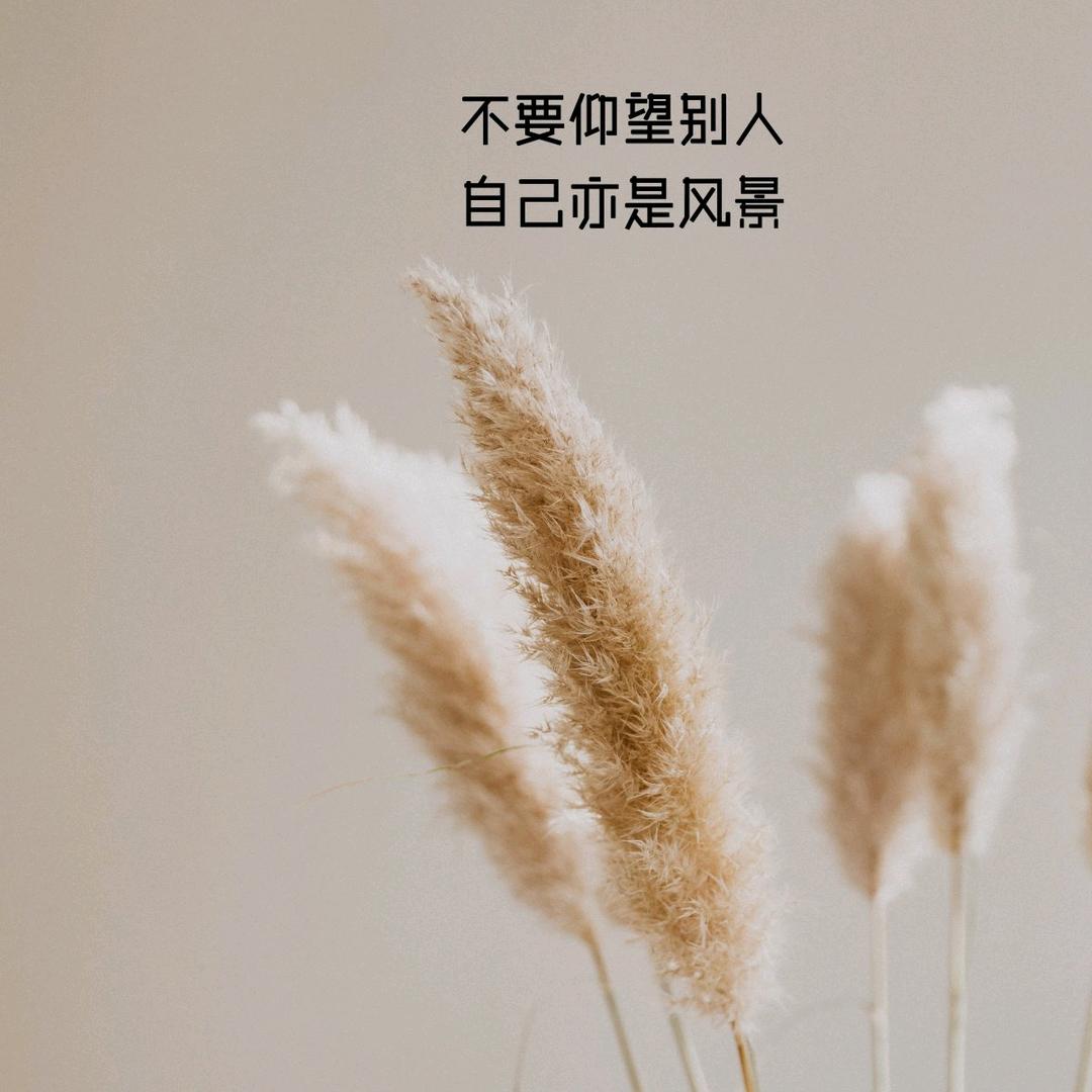 @忕佪