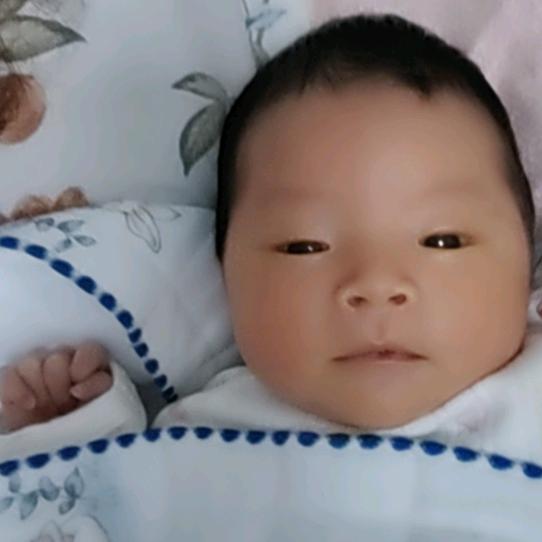 河南新乡油酥烧饼