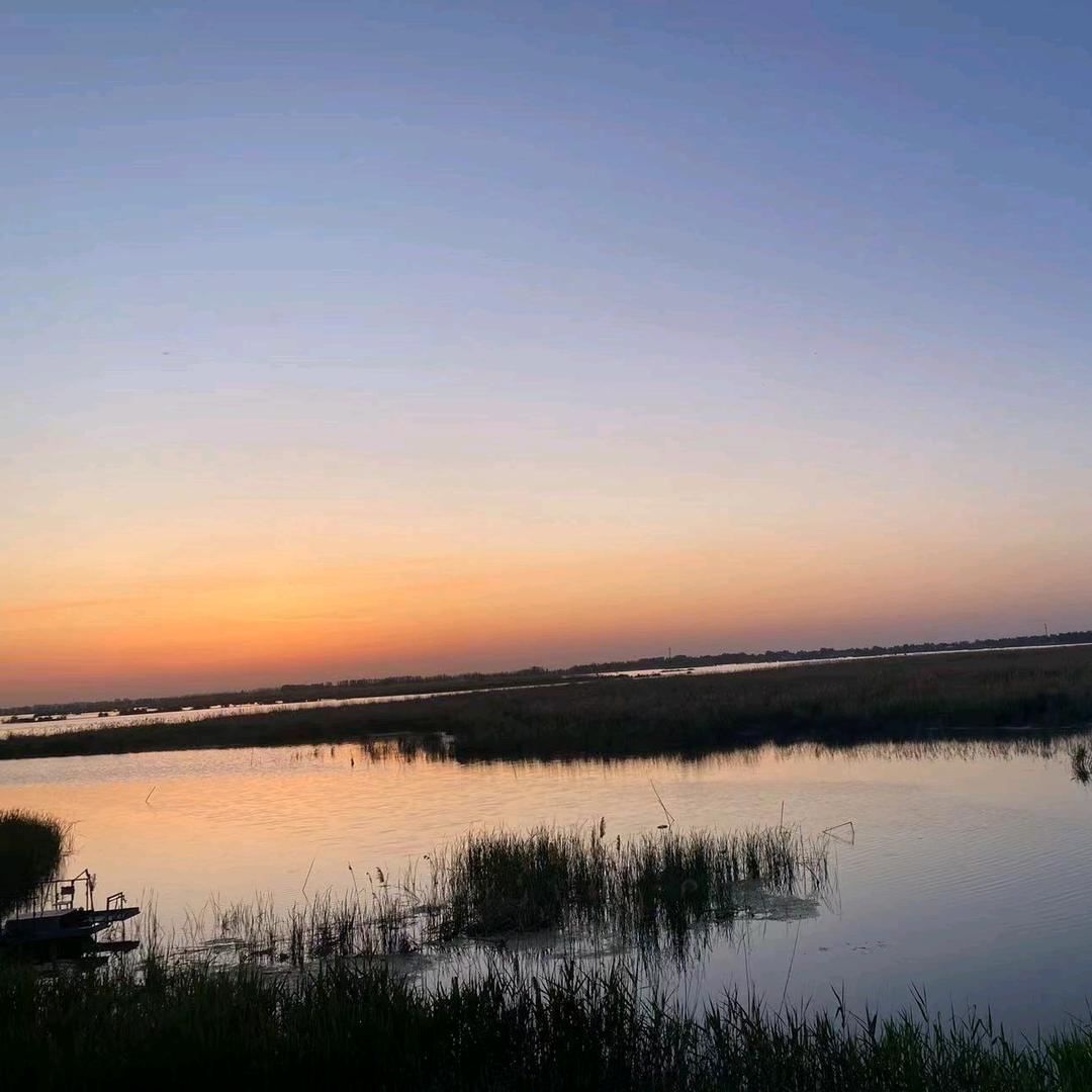 峰子