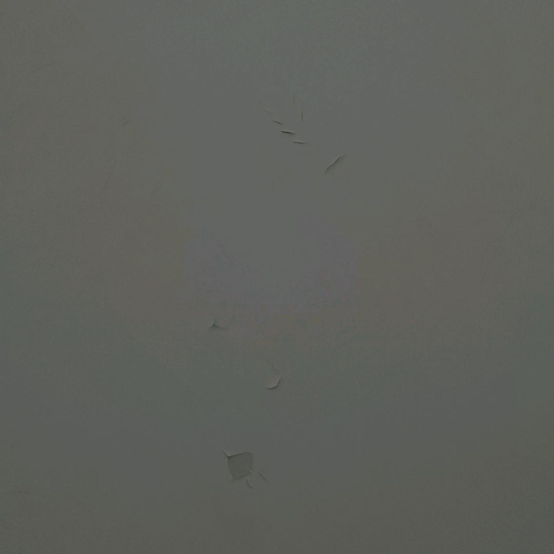 飞