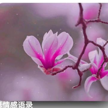 开心恶魔