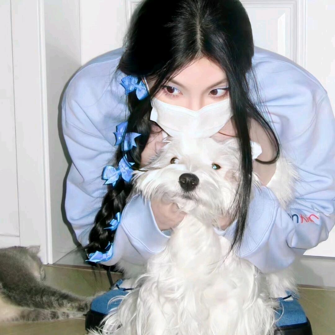 蛋挞ㅤ