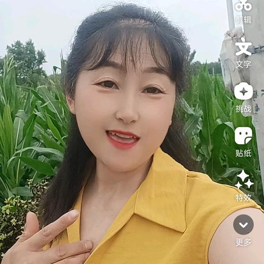 小燕子