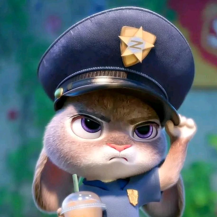 小猫可以吃芝士汉堡🍔