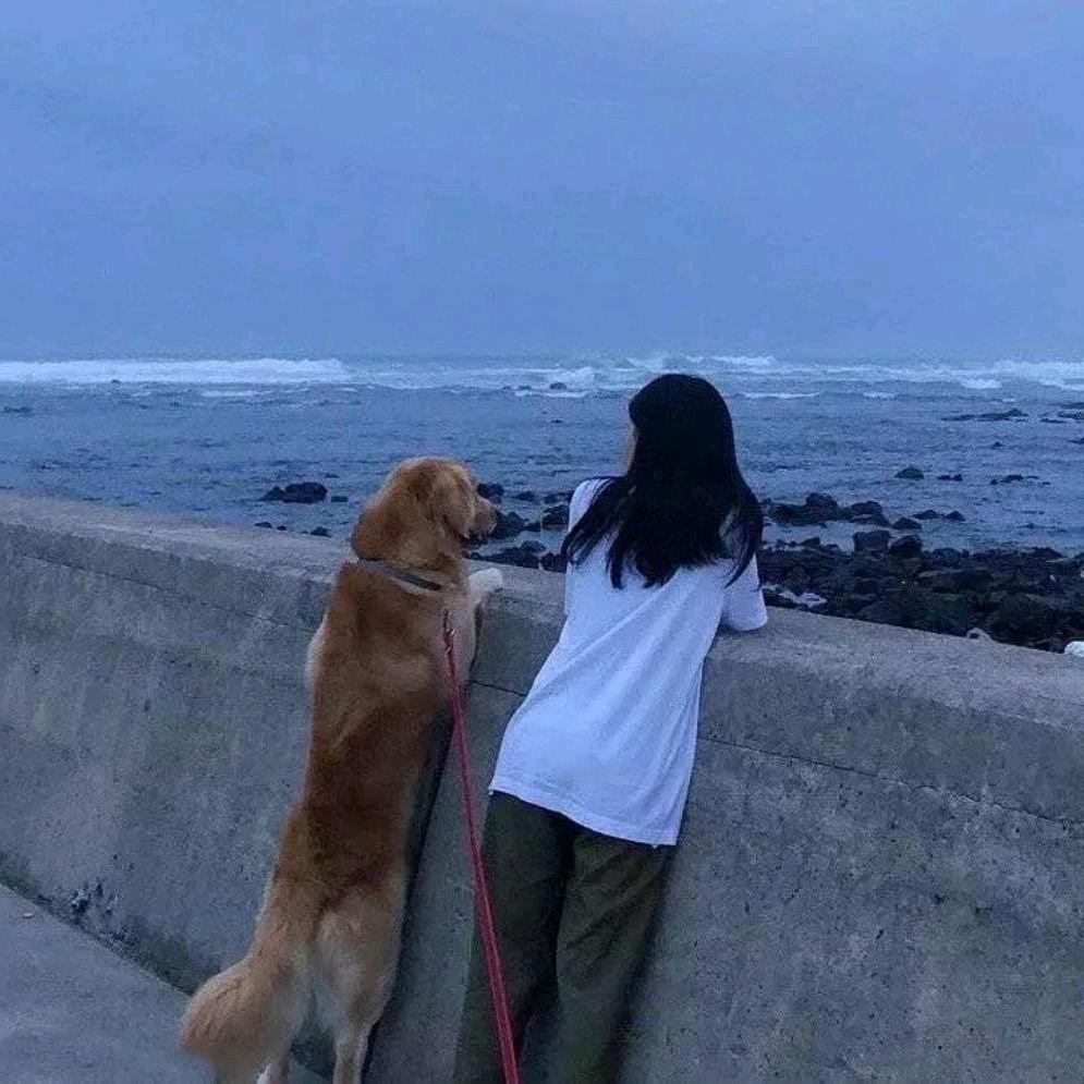 不渝.