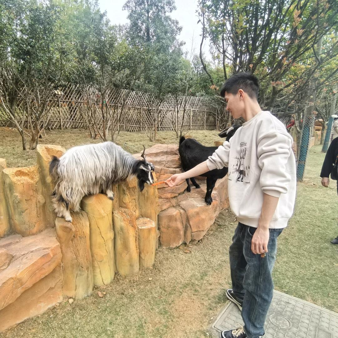 董先森