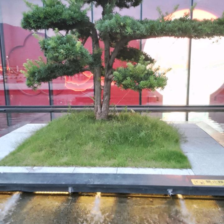 麦记