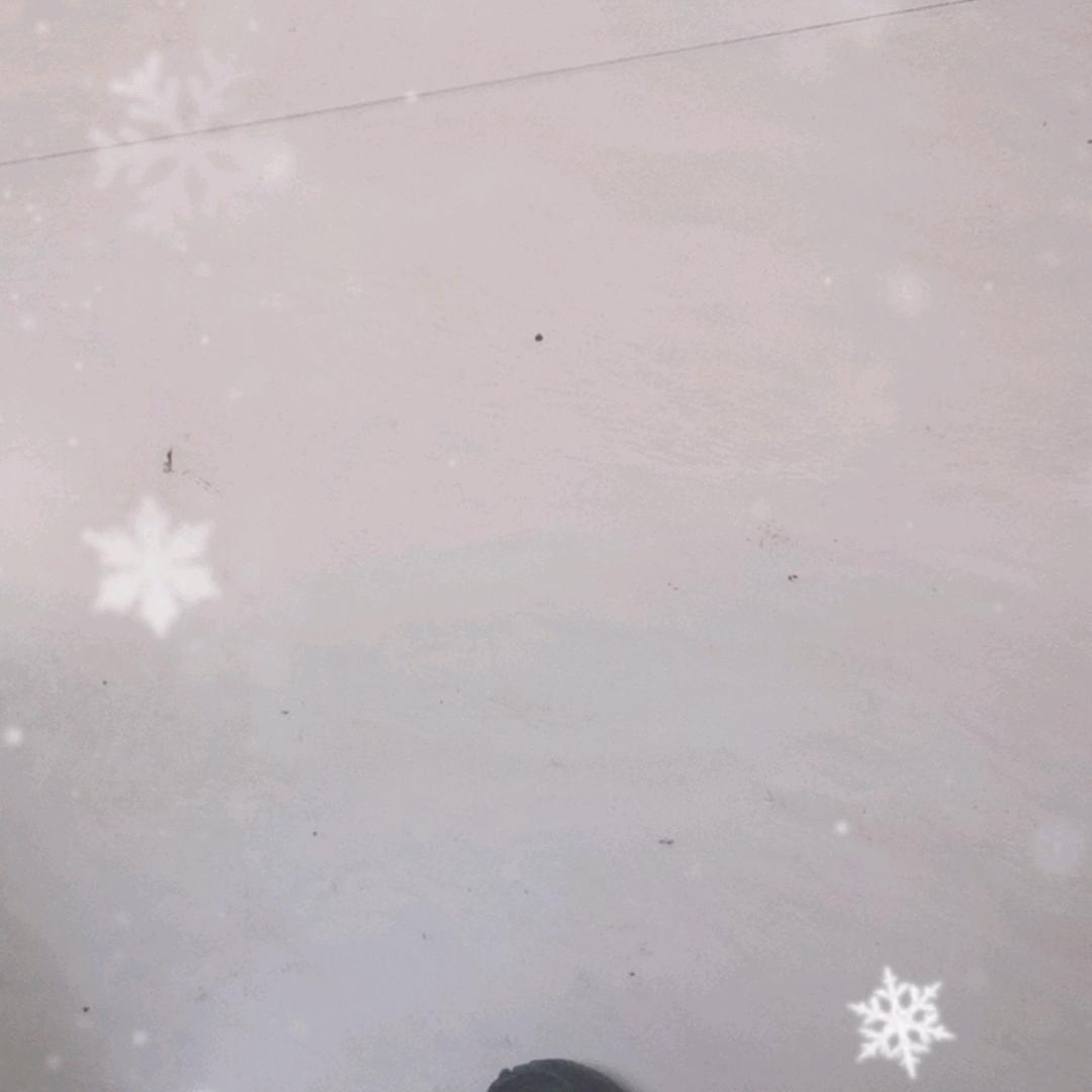 潇洒丰哥