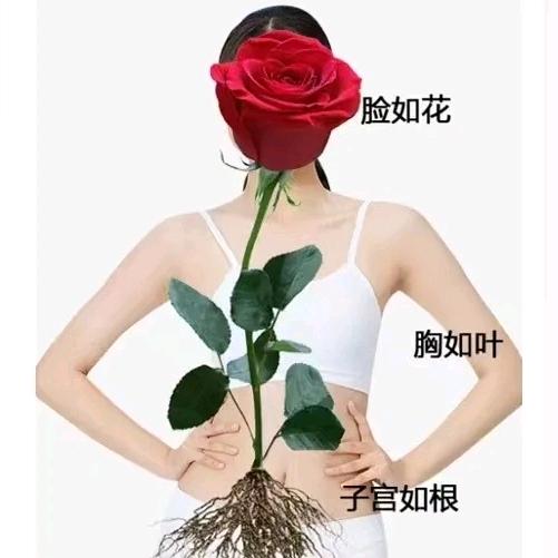 鸿运当头