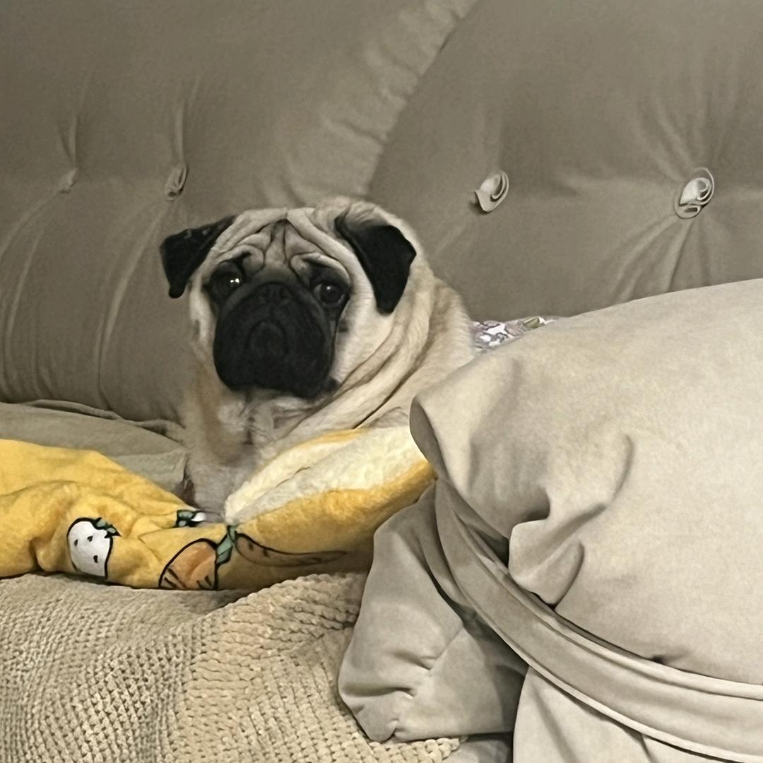 欢喜🎁🎁代送（海洋之心）