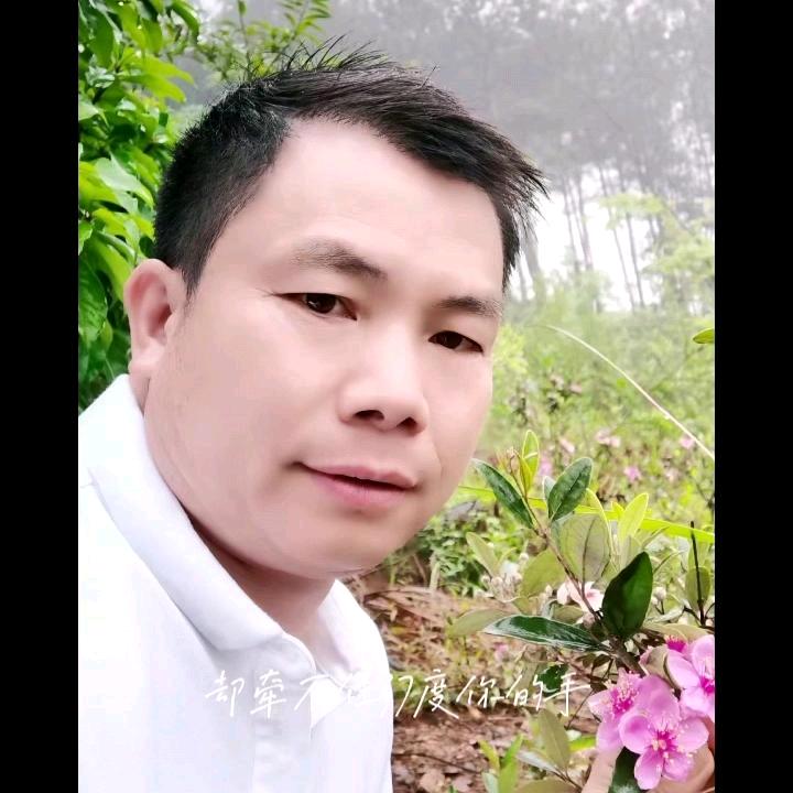 真情钟意