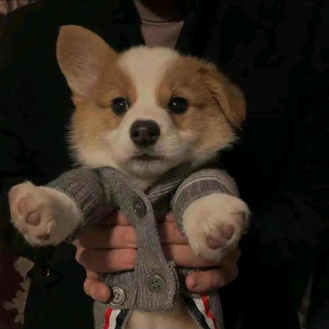 睡个好觉🇨🇳