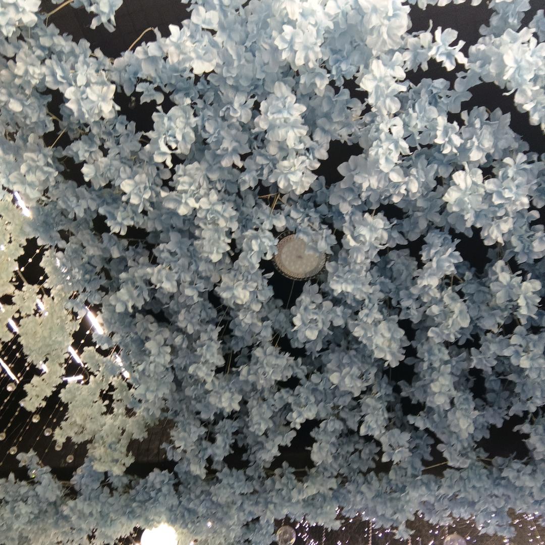 ঞ ໌້ᮨঞ᭄招财又进宝໊ꦿഒᩚ࿐💕