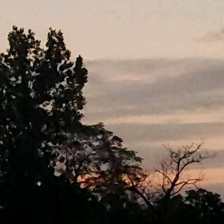 小沐飞