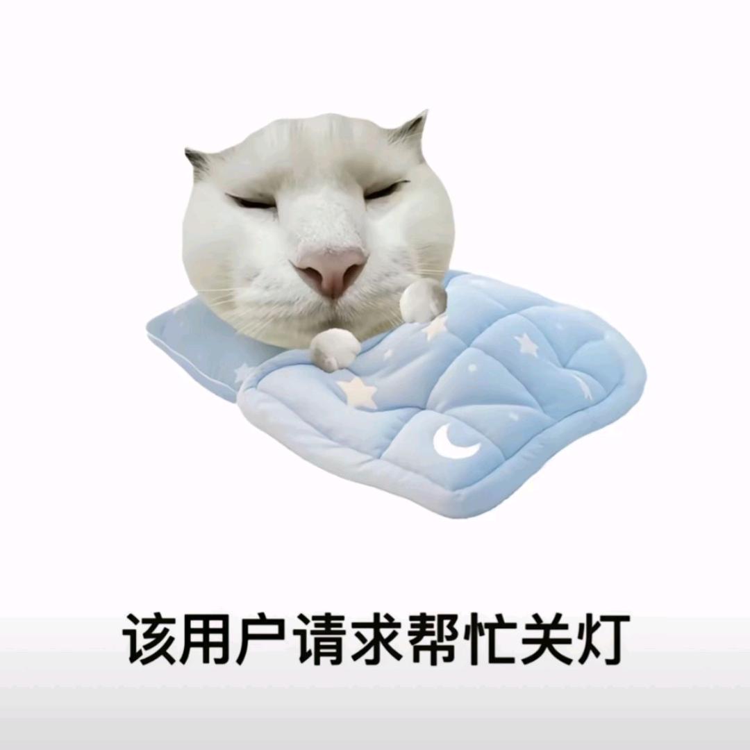幸福小张