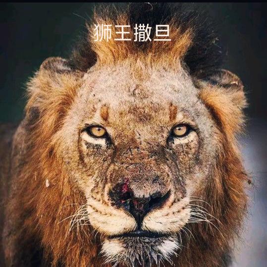 情难禁