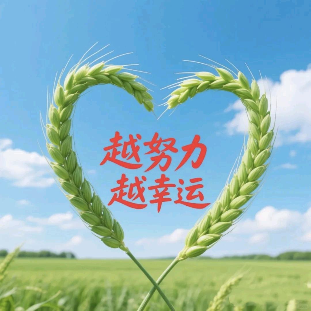 逐光而行。。。