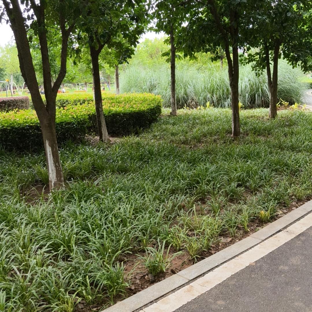 中央广场一楼，MIMO女装