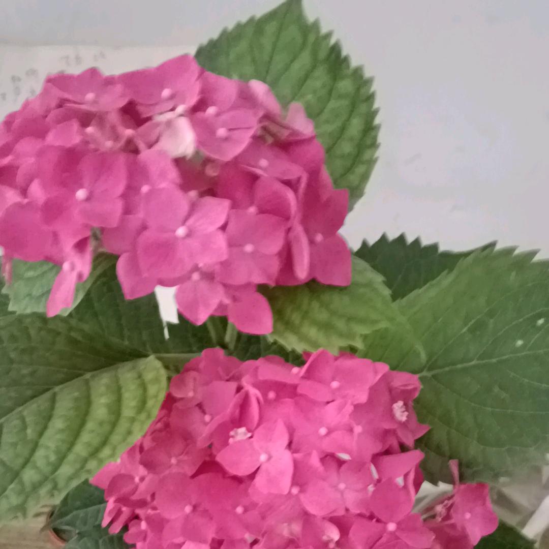 细雨蒙蒙