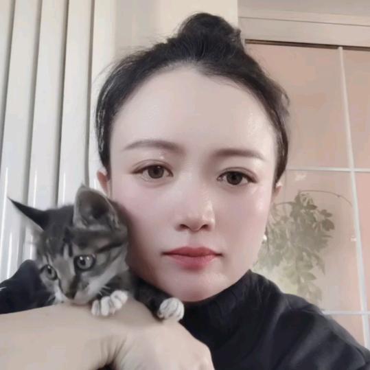 羊倌毛蛋