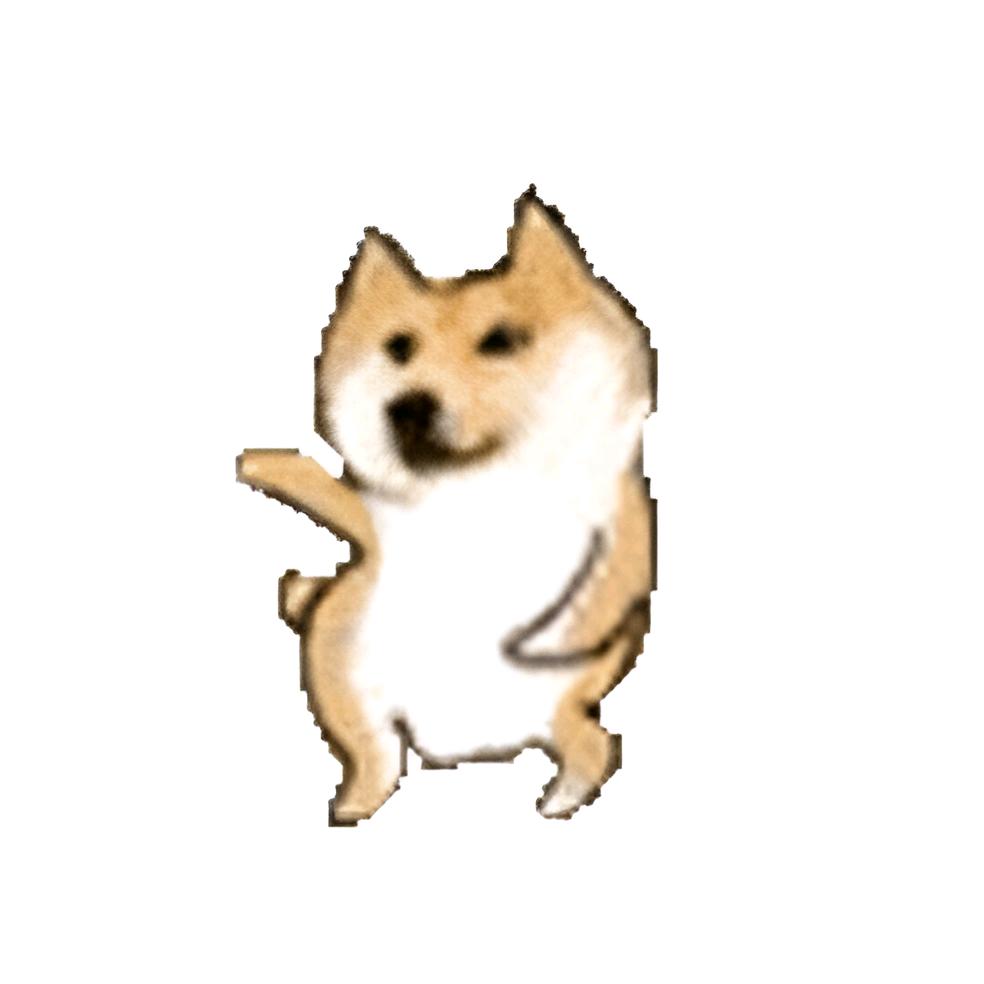 kiti猫🐯