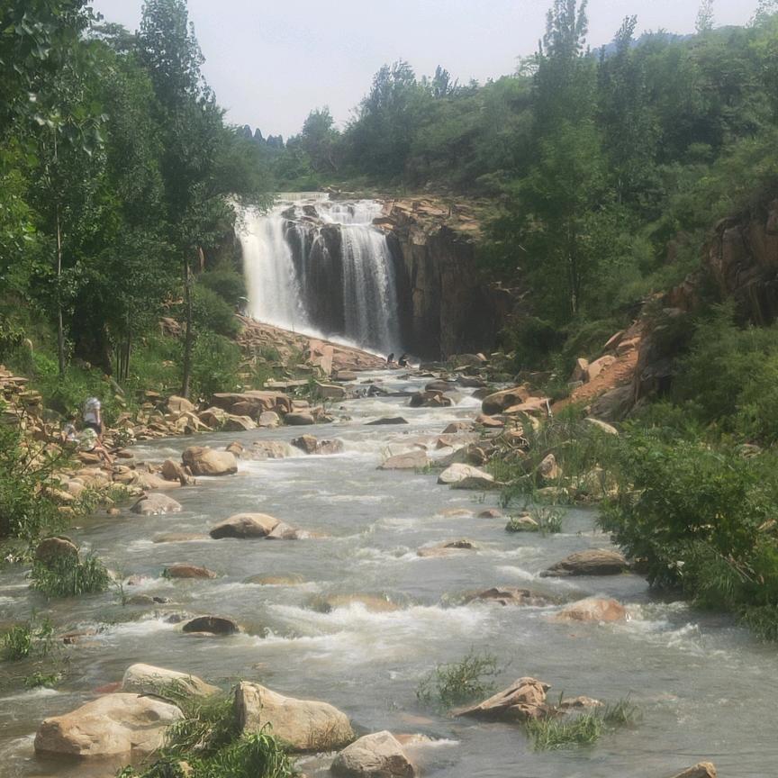 乡村振兴第一书记