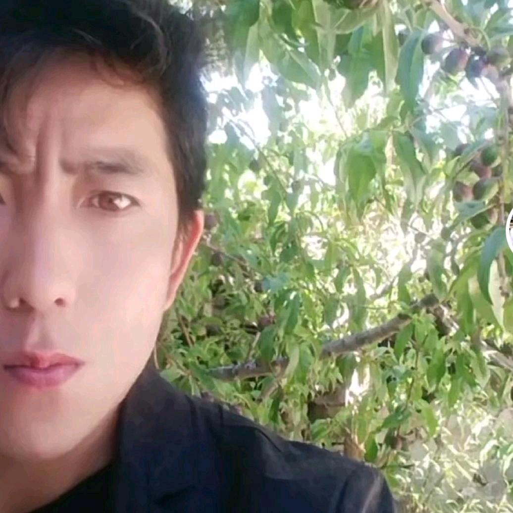 众生🙏🙏平安