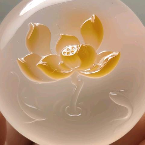 @洛玉子恒