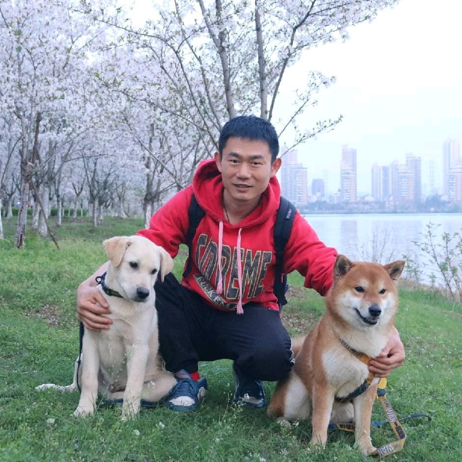 十一的田园生活