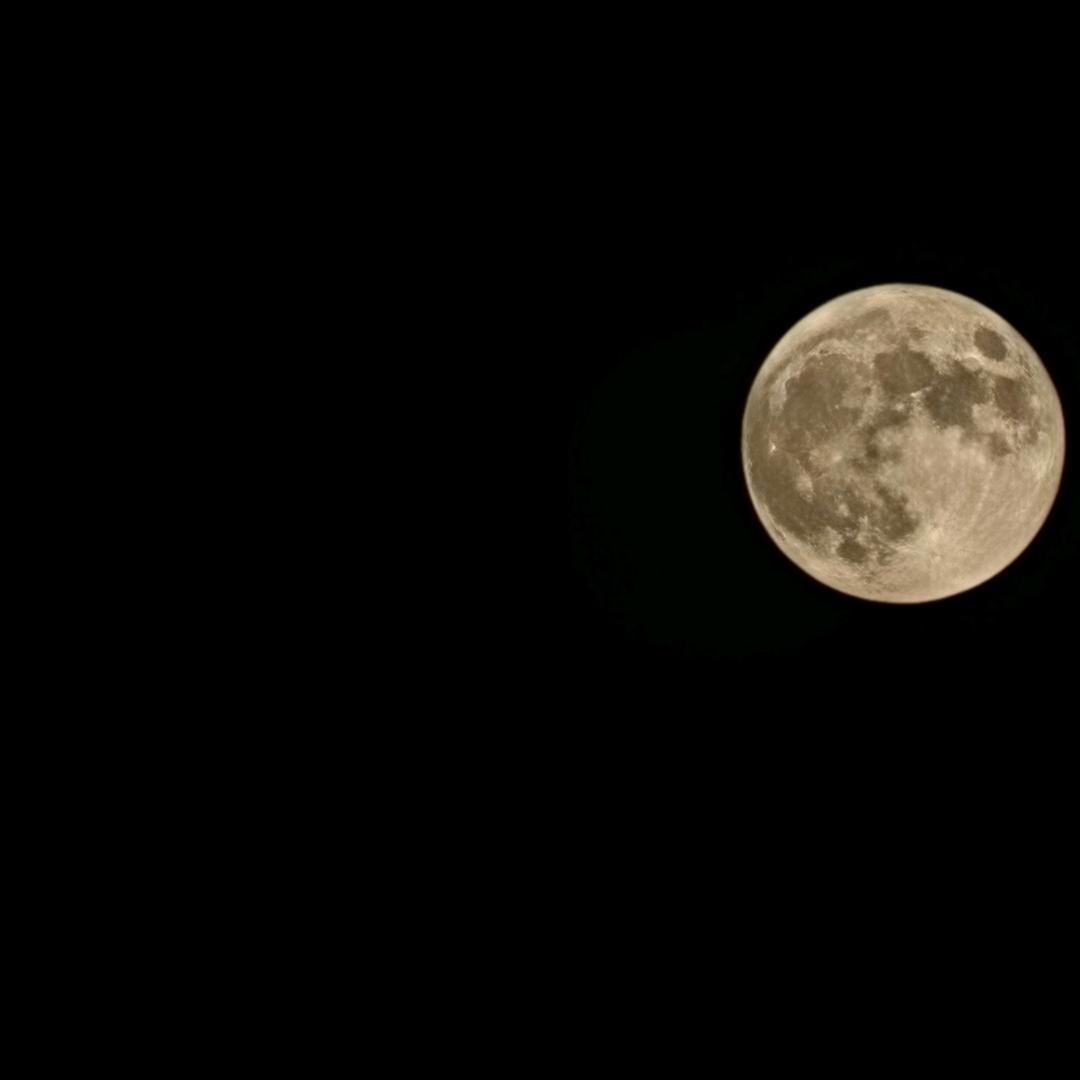 向阳户外_W十一