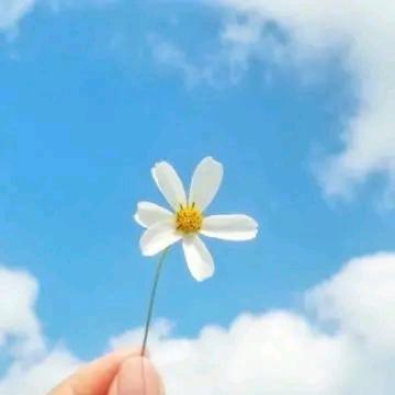 榴莲往返