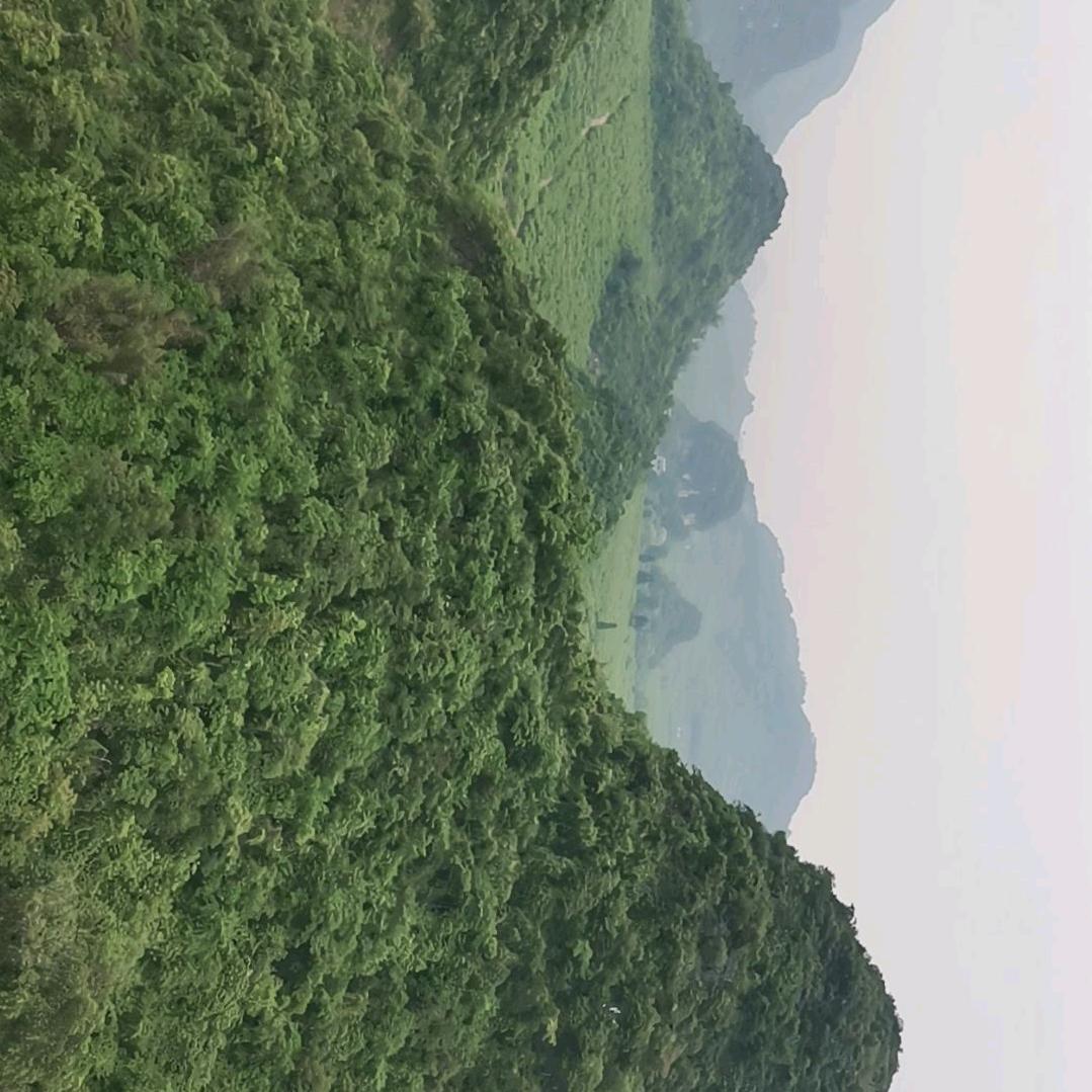 快乐宝贝