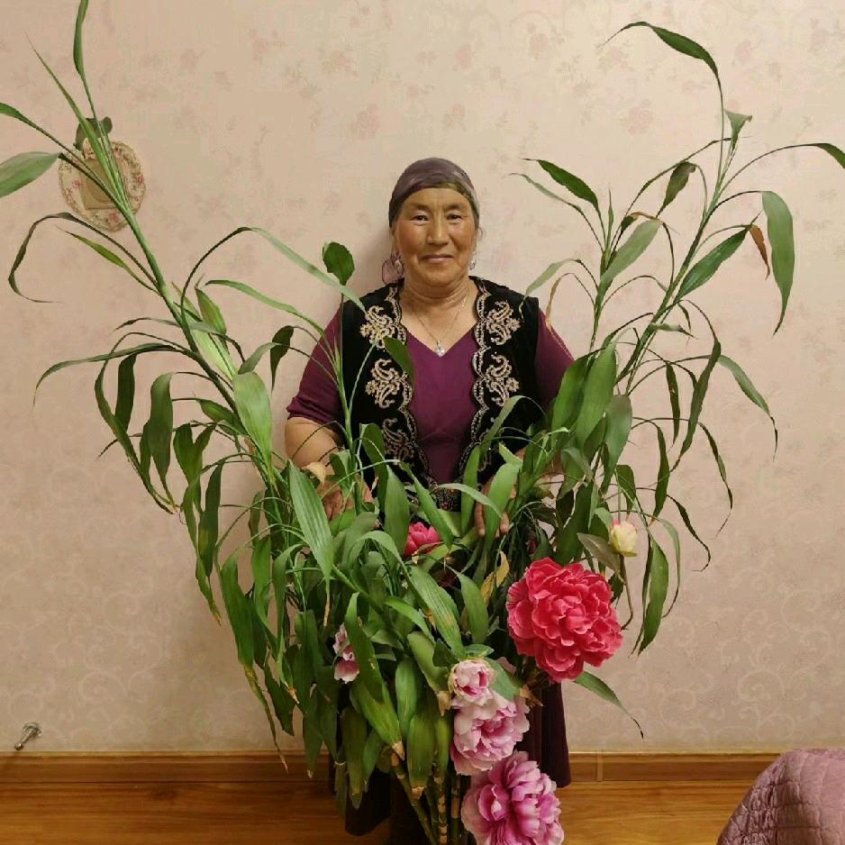 拉扎提