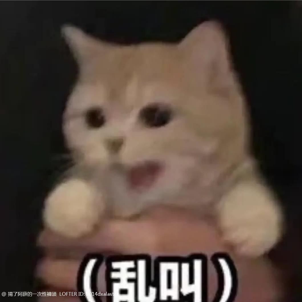 白乳胶头像