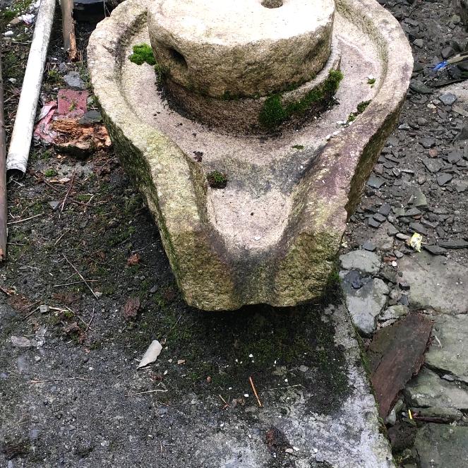 太阳٩(￥A￥)۶恭喜发财