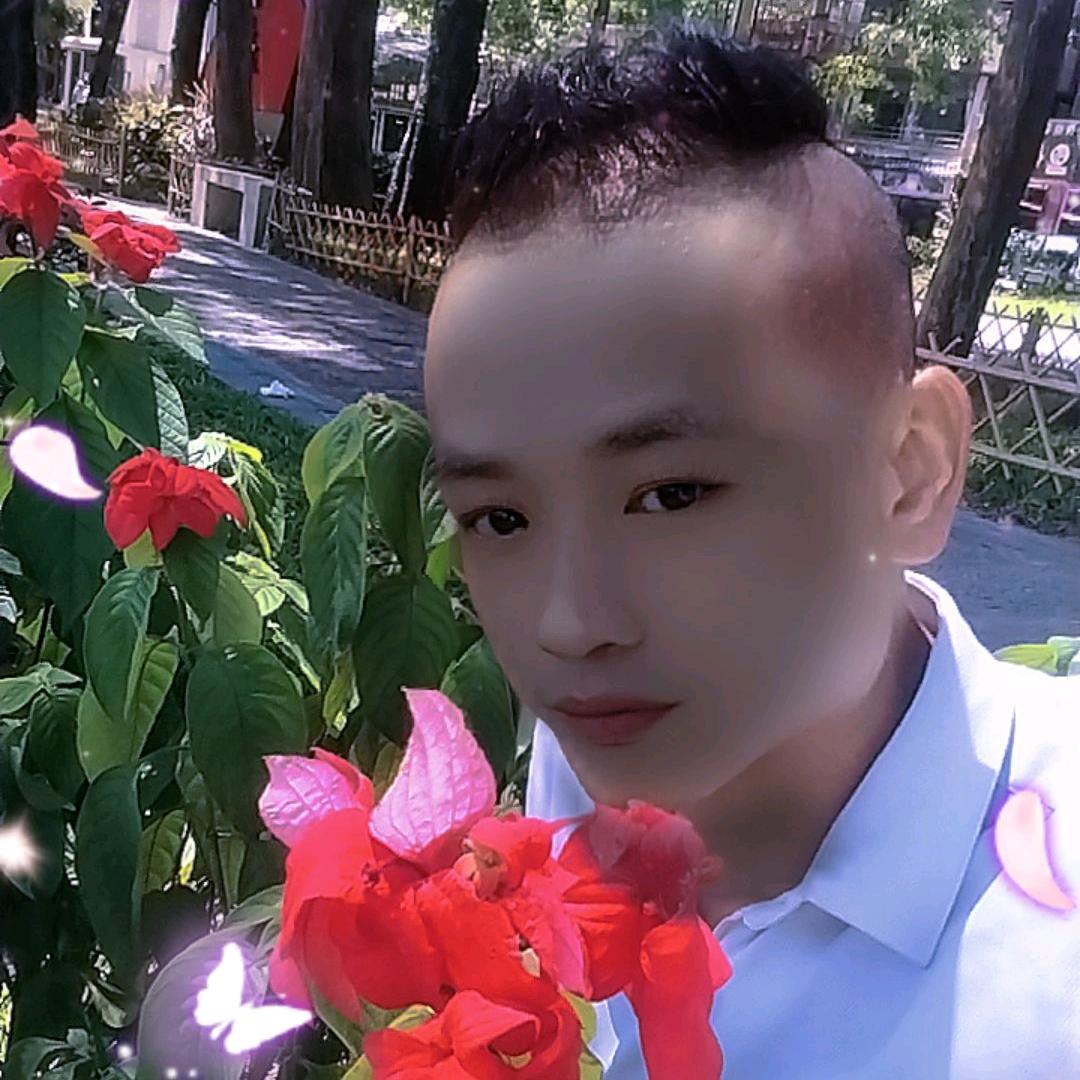 小飞飞鱼