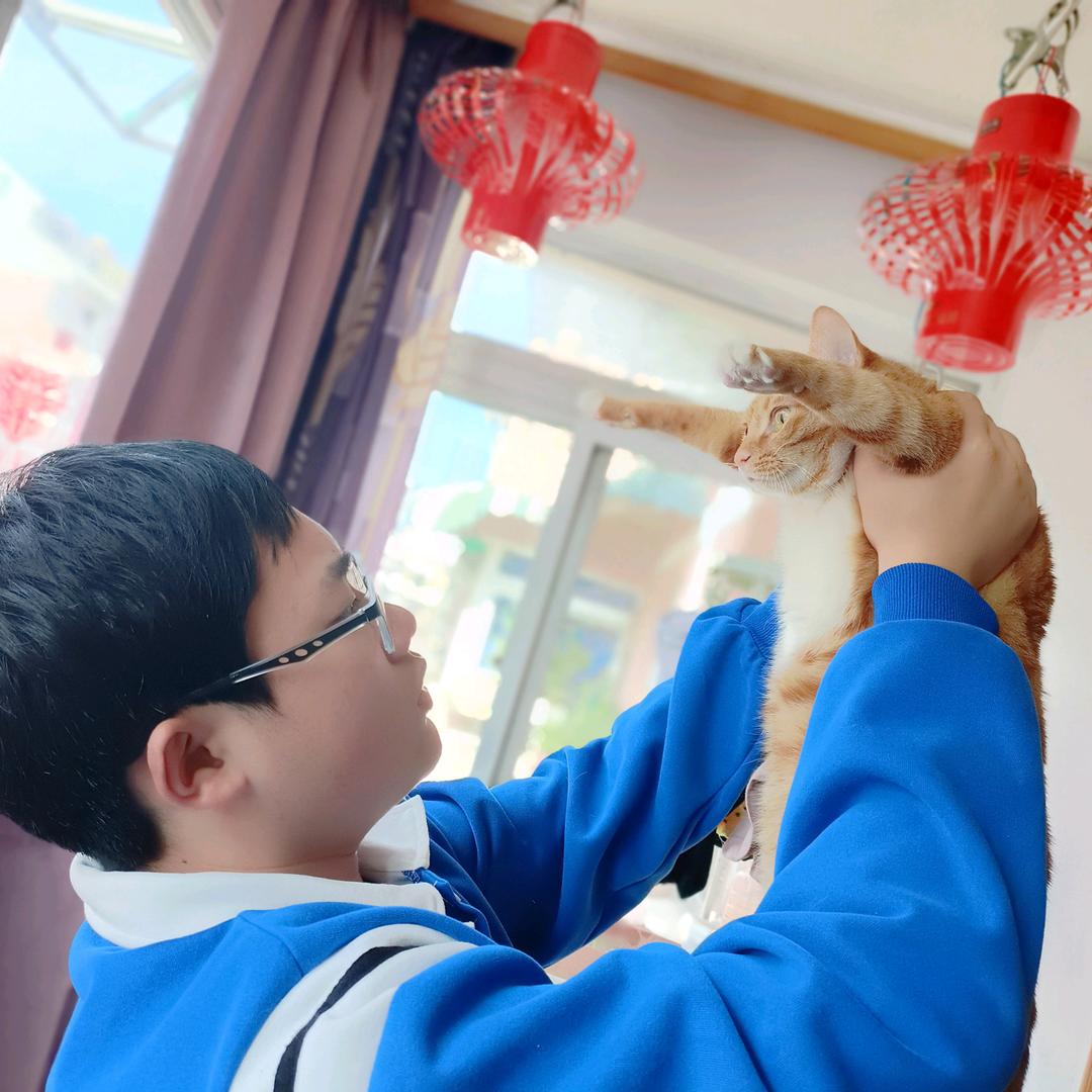 天空中的🐟🐟