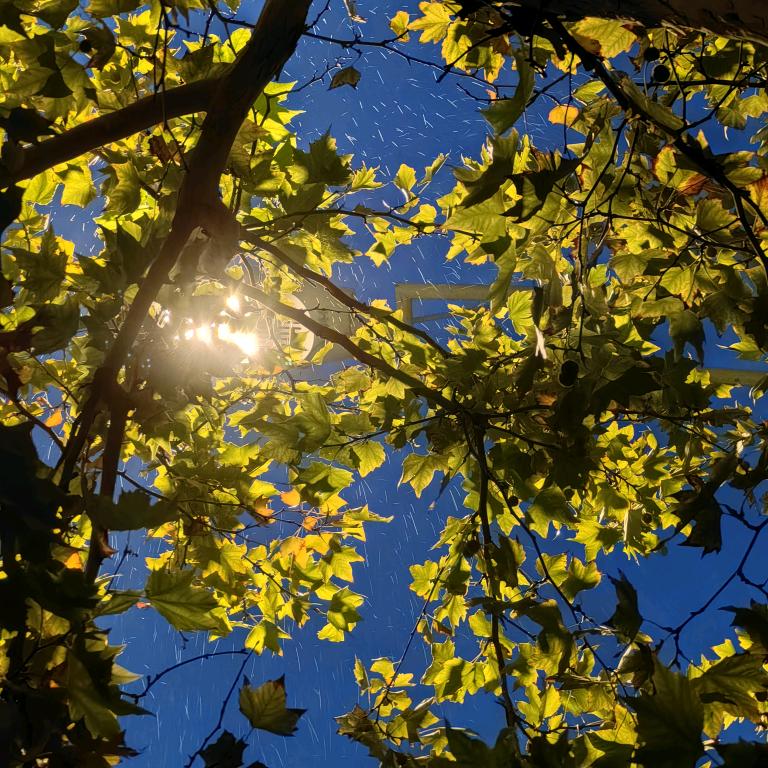 抖音cf泡泡