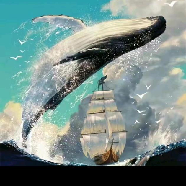 中国自来水～大鱼老师🇨🇳🇨🇳