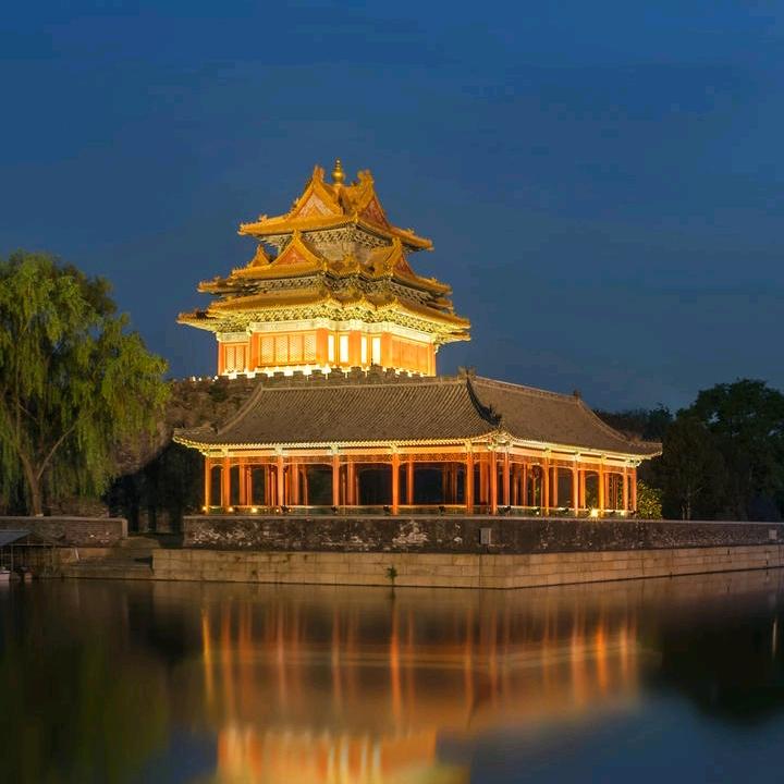 小小小小小强