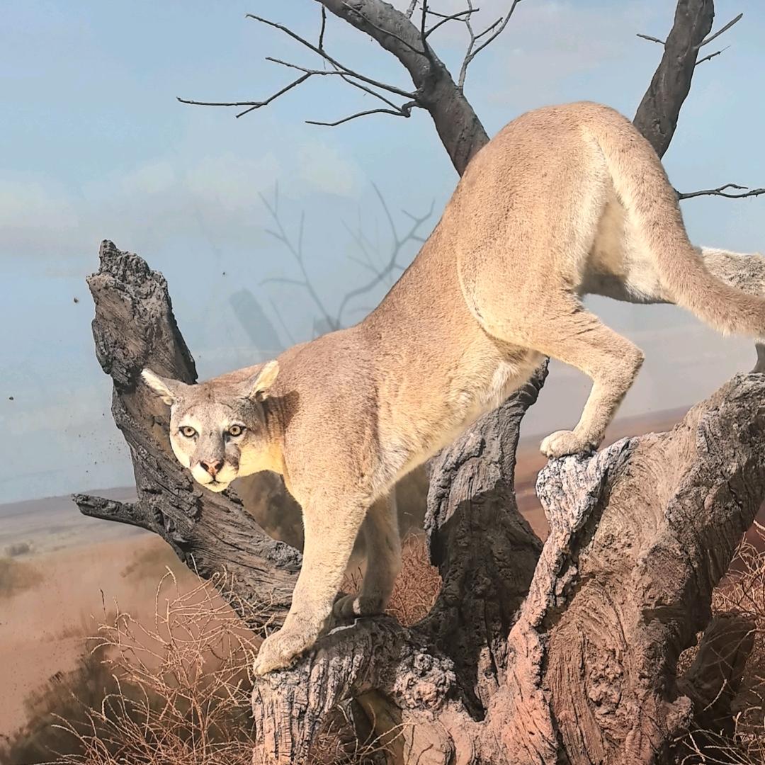 只求逍遥人世间张