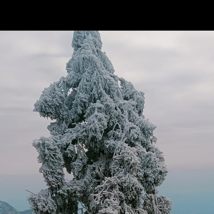 16日的那一场雪