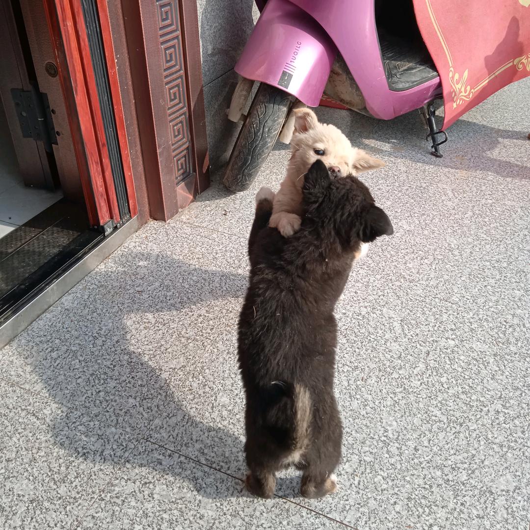 1晴田甜（开播号在首页19.:20）