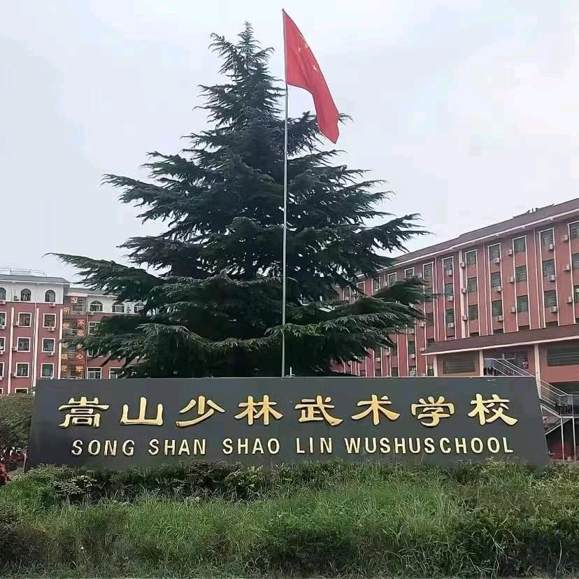 嵩山少林武术学校（新生咨询）