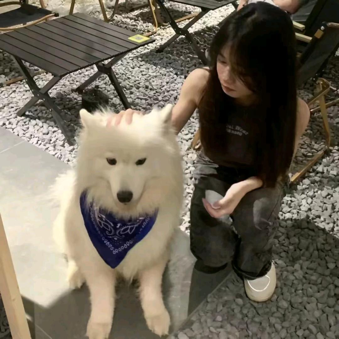 ʚ蜡笔小欣ɞ