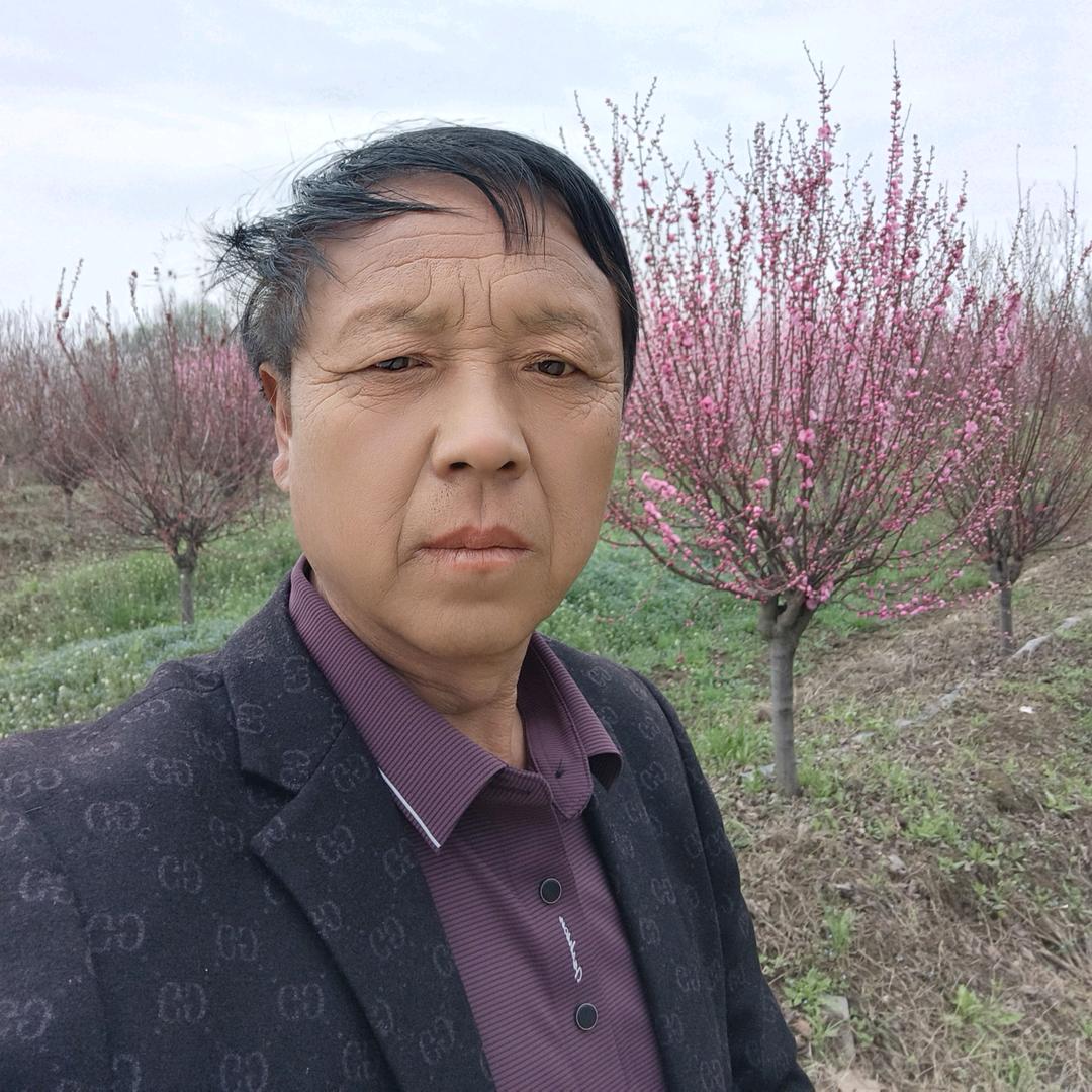 莉√美文化传媒工作室、