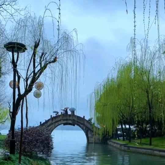 细雨蒙蒙